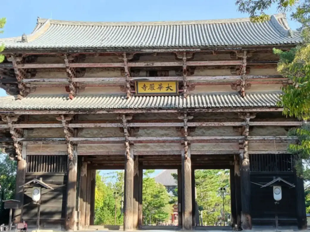 Nara, Uji, Todaiji Temple & Fushimi Inari Taisha from Kyoto/Osaka