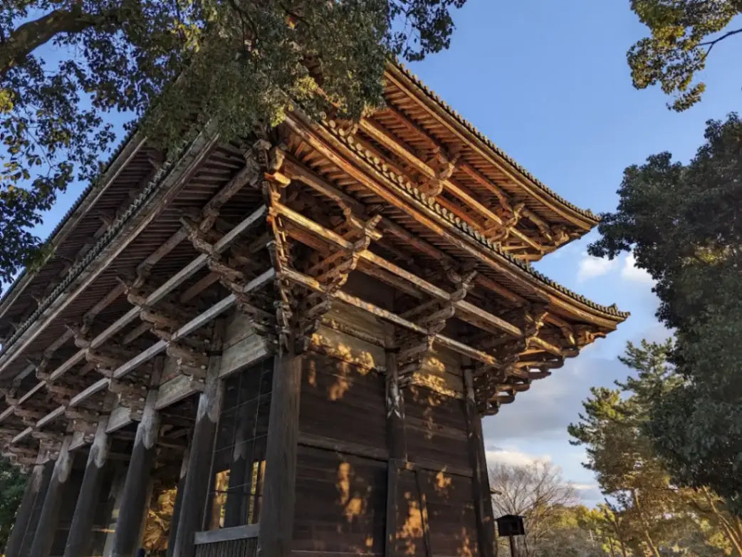 Nara, Uji, Todaiji Temple & Fushimi Inari Taisha from Kyoto/Osaka