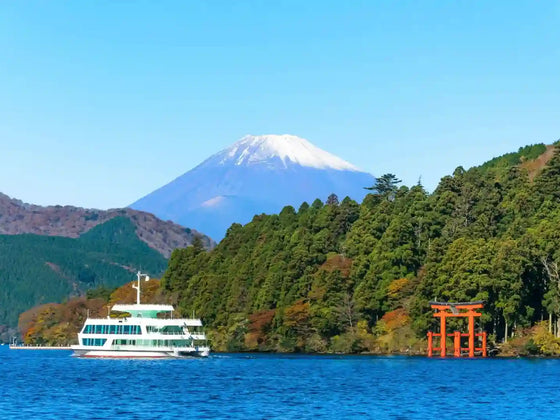 Hakone Private Tour with Hotel Pickup