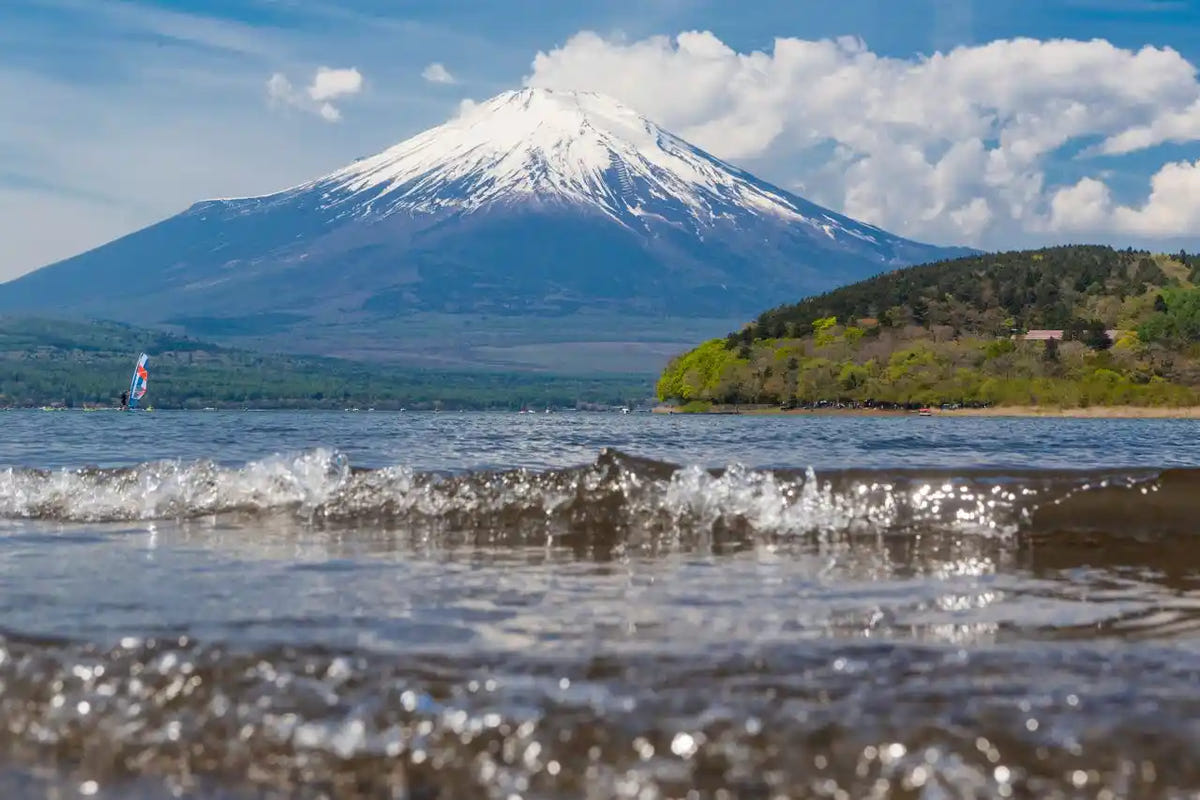 Mt. Fuji Day Tour: Chureito Pagoda, Lake Kawaguchi & Oshino Hakkai from Tokyo