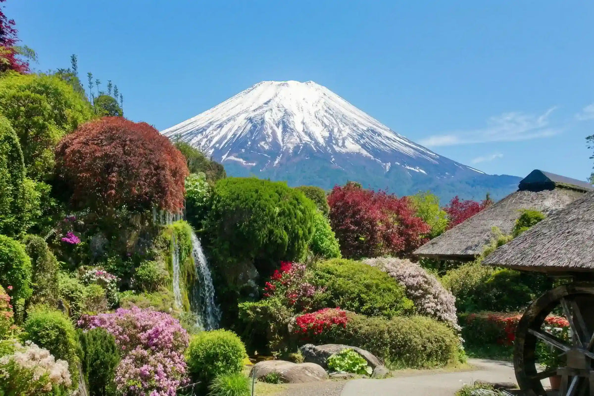Mount Fuji Panoramic Ropeway, Lake Kawaguchi Tour from Tokyo