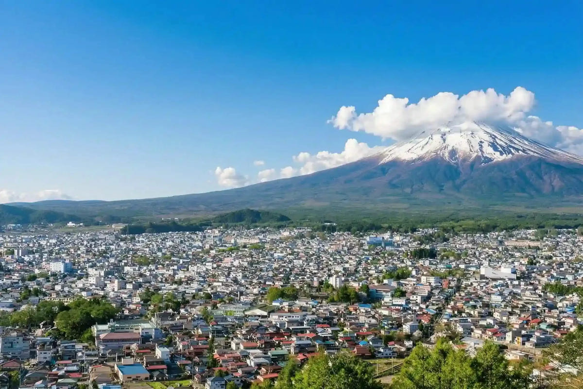 Private Mount Fuji Panoramic Ropeway, Lake Kawaguchi Tour from Tokyo