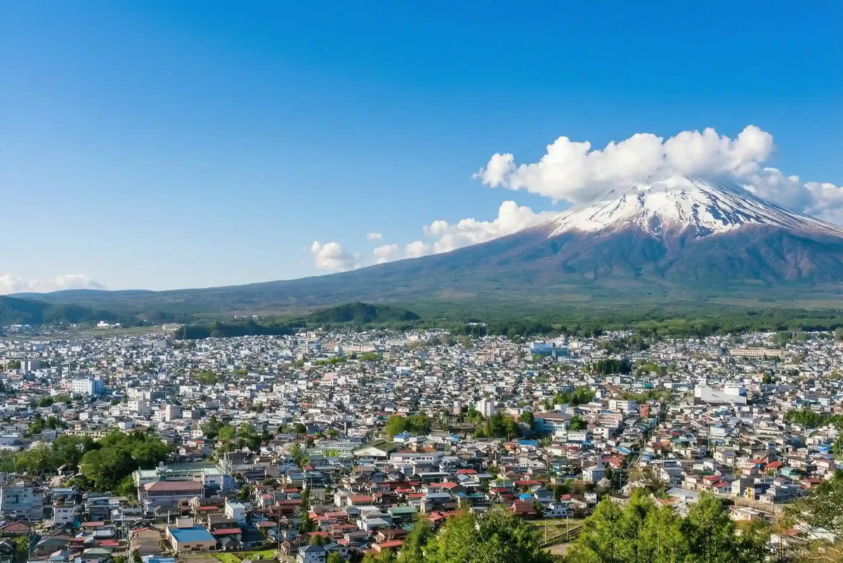 Mount Fuji Panoramic Ropeway, Lake Kawaguchi Tour from Tokyo