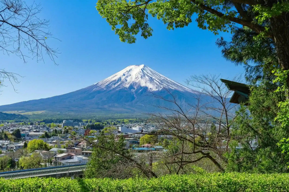 Mount Fuji Panoramic Ropeway, Lake Kawaguchi Tour from Tokyo