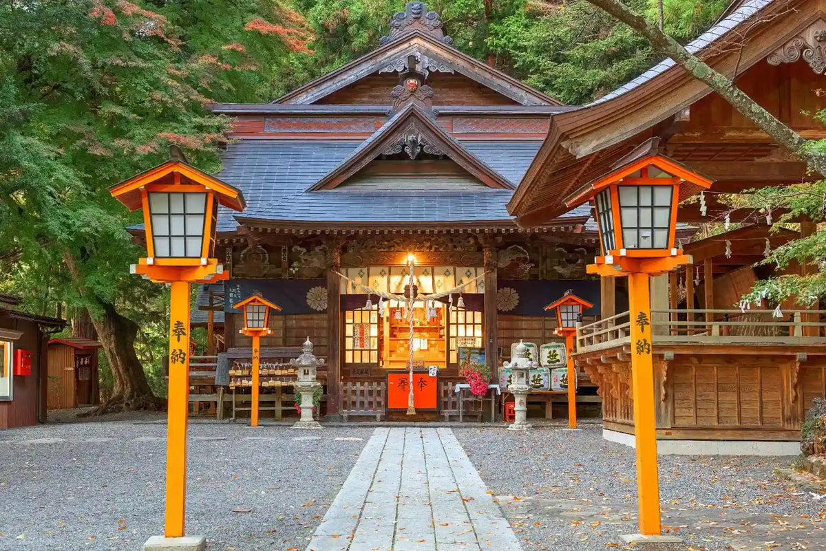 Mount Fuji Panoramic Ropeway, Lake Kawaguchi Tour from Tokyo
