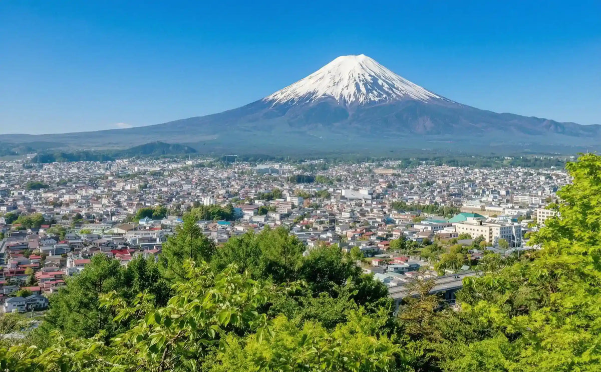 Hakone & Mt Fuji Day Tour: Lake Ashi, Owakudani & Chureito Pagoda from Tokyo