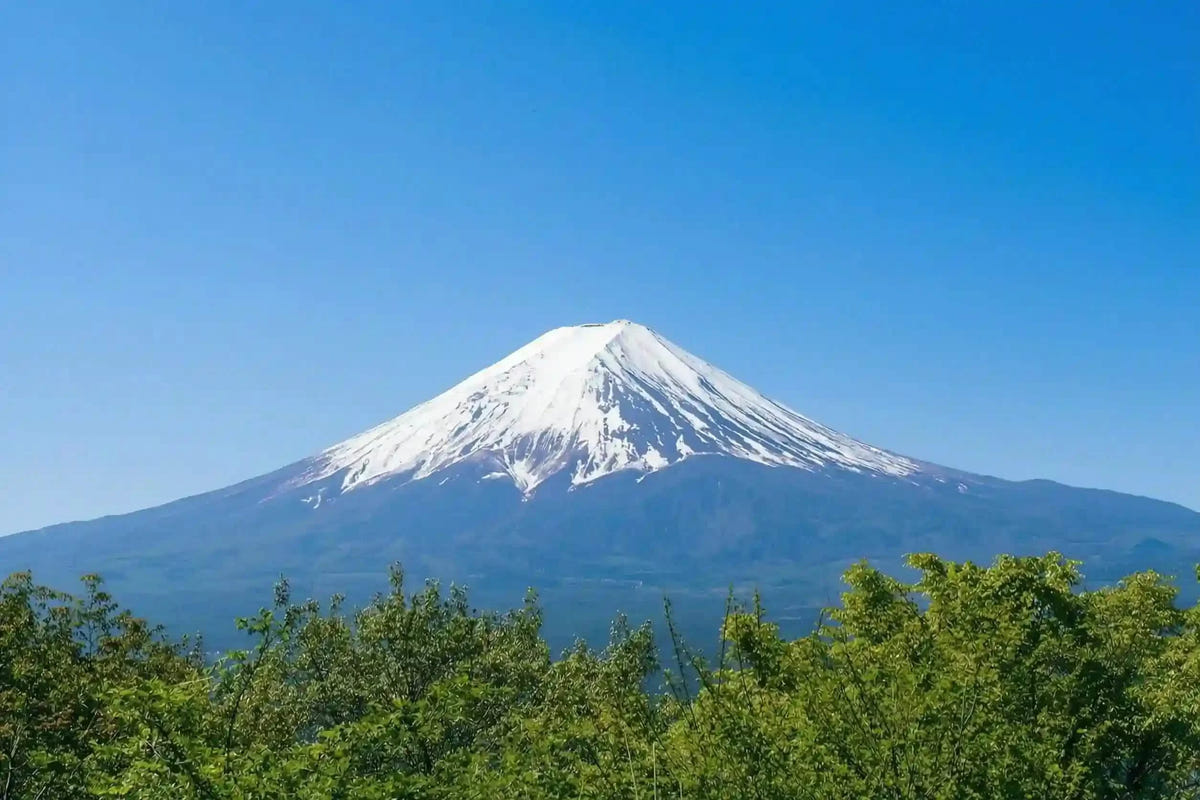 Private Mount Fuji Panoramic Ropeway, Lake Kawaguchi Tour from Tokyo