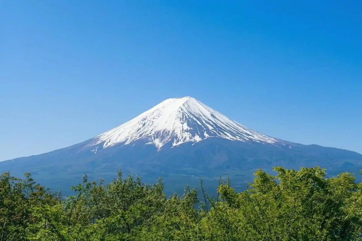 Mount Fuji Panoramic Ropeway, Lake Kawaguchi Tour from Tokyo