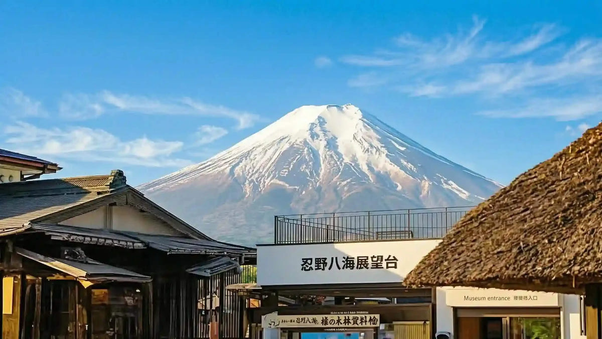Private Mt Fuji Day Tour: Chureito Pagoda, Oshino Hakkai & Yamanaka from Tokyo