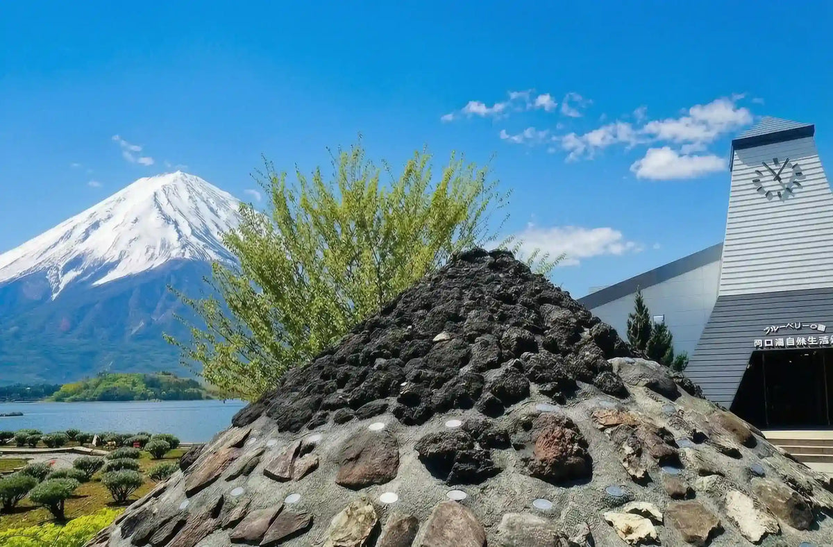 Mount Fuji Panoramic Ropeway, Lake Kawaguchi Tour from Tokyo