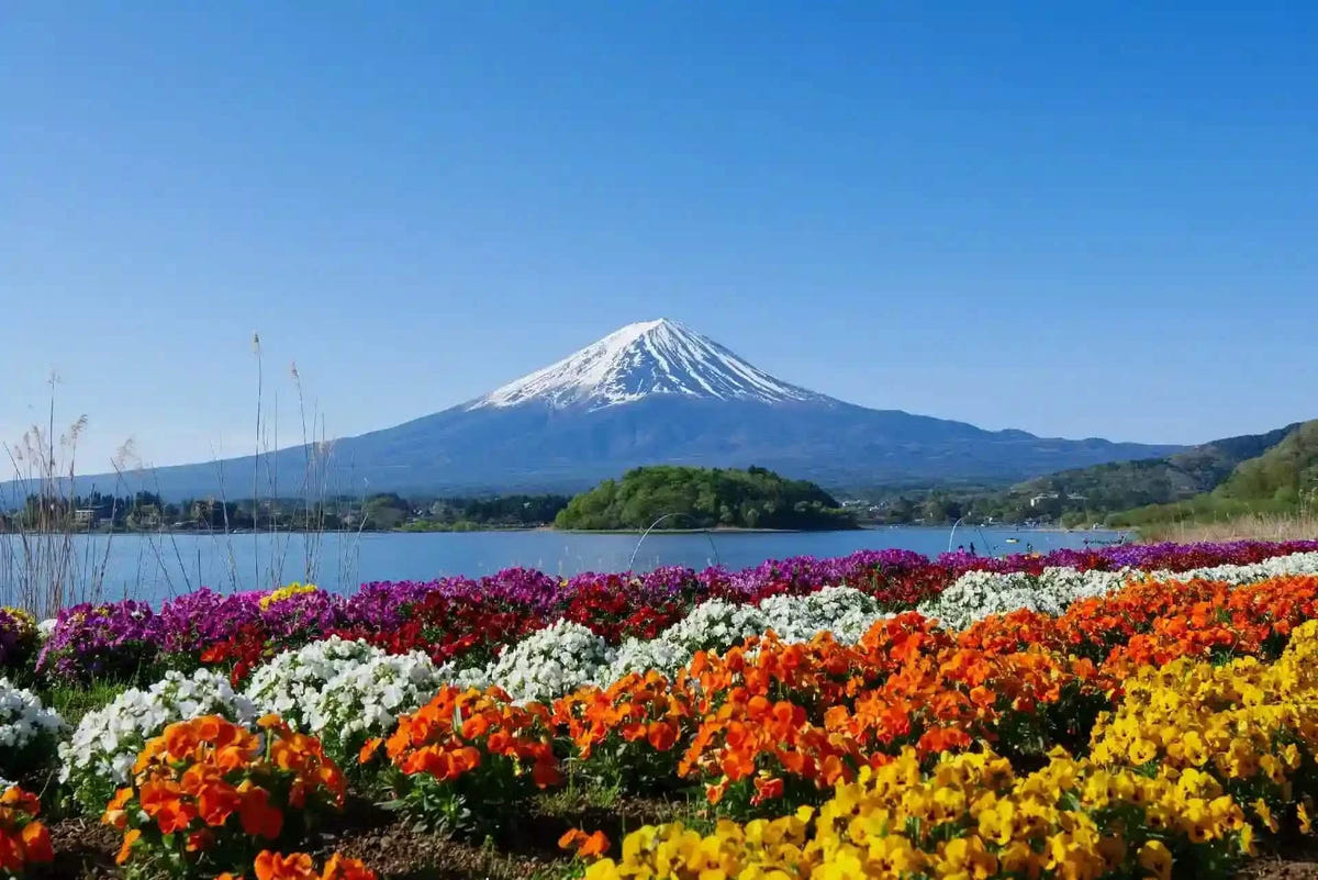 Private Mt Fuji Day Tour: Chureito Pagoda, Oshino Hakkai & Yamanaka from Tokyo