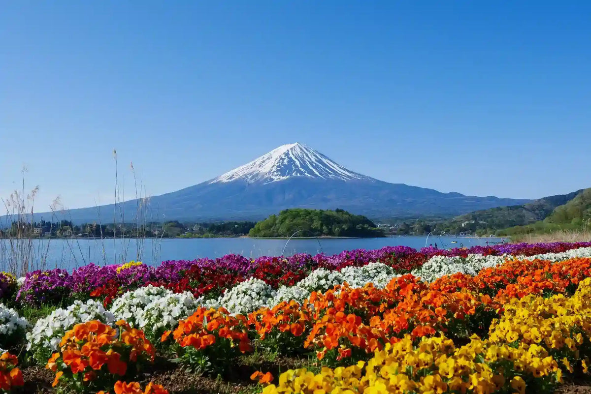Mount Fuji Panoramic Ropeway, Lake Kawaguchi Tour from Tokyo