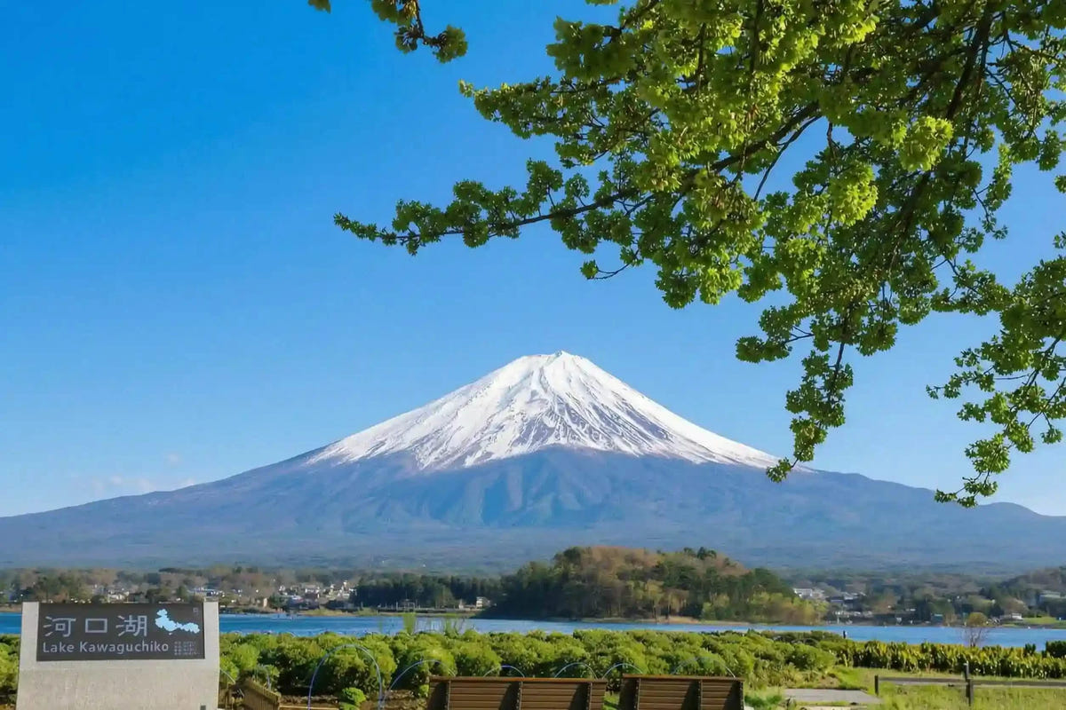 Private Mount Fuji Panoramic Ropeway, Lake Kawaguchi Tour from Tokyo