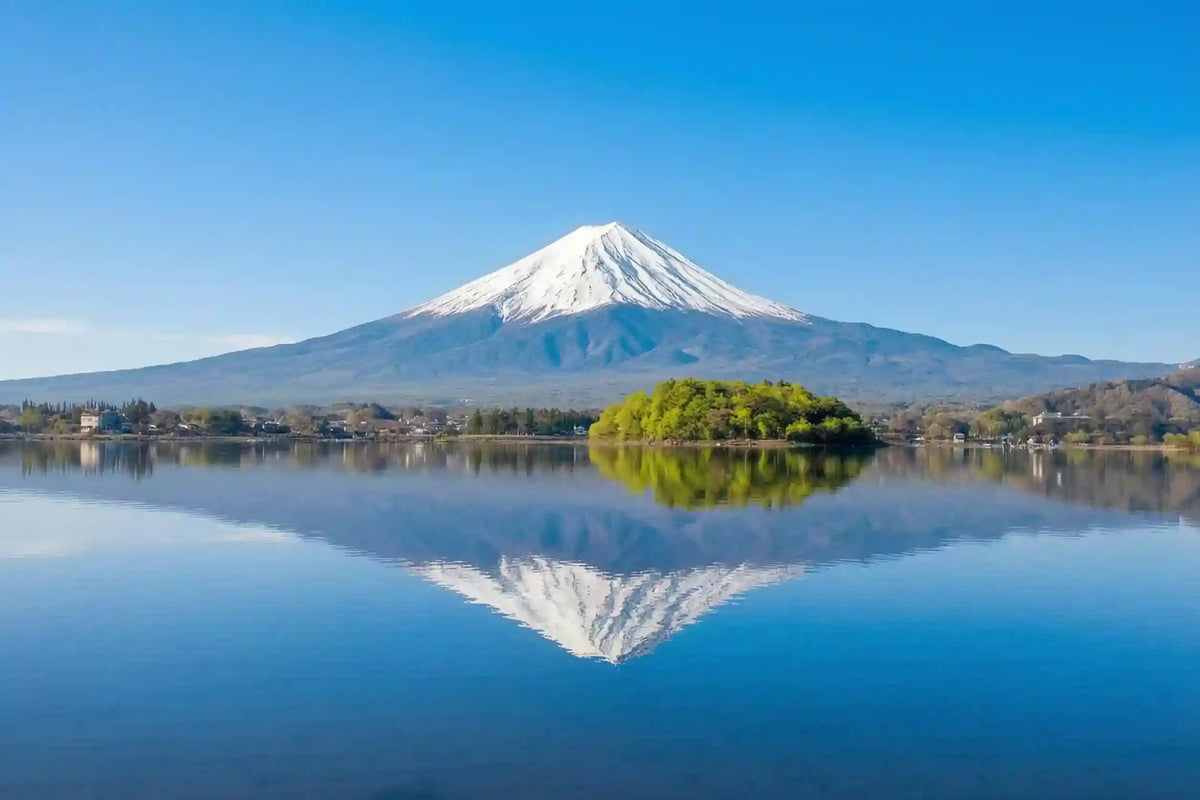 Mount Fuji Panoramic Ropeway, Lake Kawaguchi Tour from Tokyo