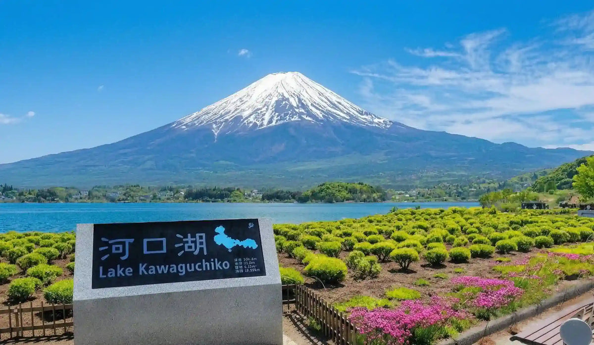  Lake Kawaguchi(20 mins)