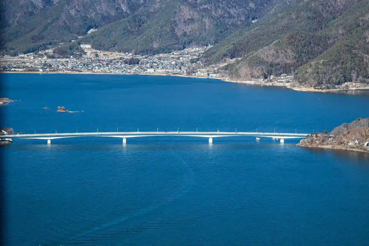 Mount Fuji Panoramic Ropeway, Lake Kawaguchi Tour from Tokyo