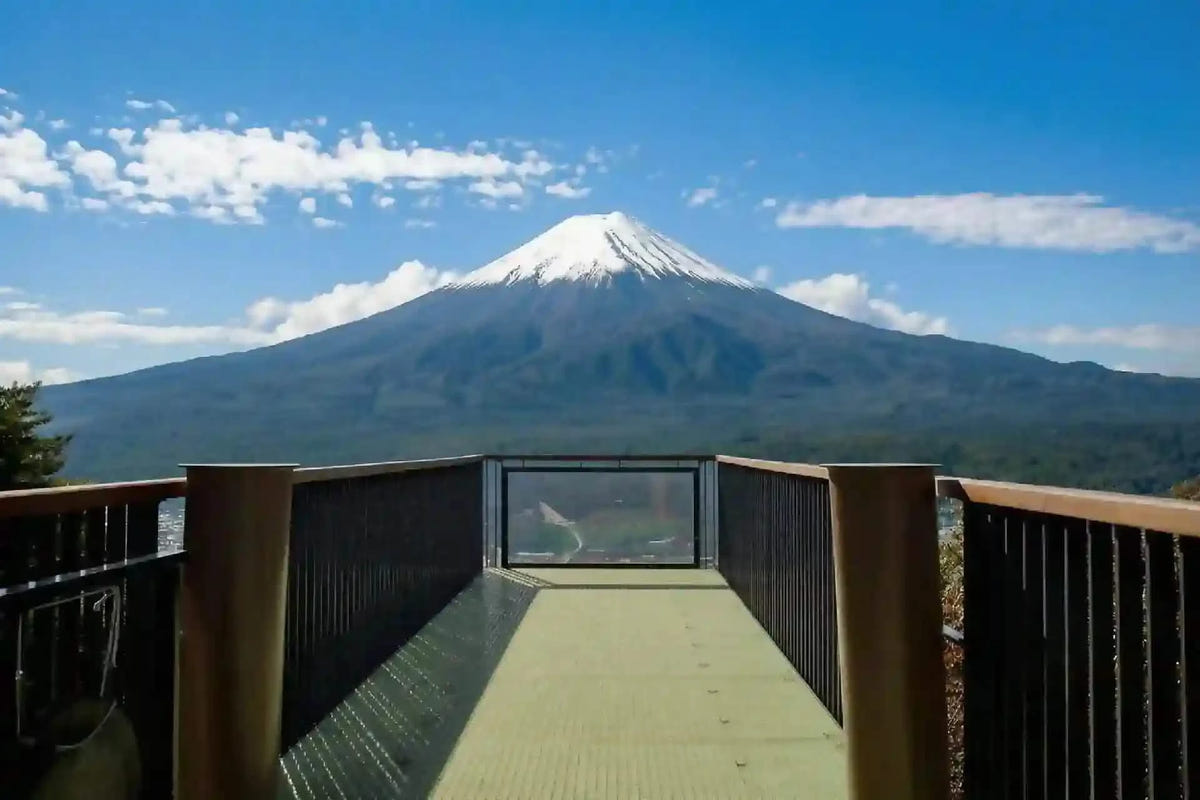 Private Mount Fuji Panoramic Ropeway, Lake Kawaguchi Tour from Tokyo