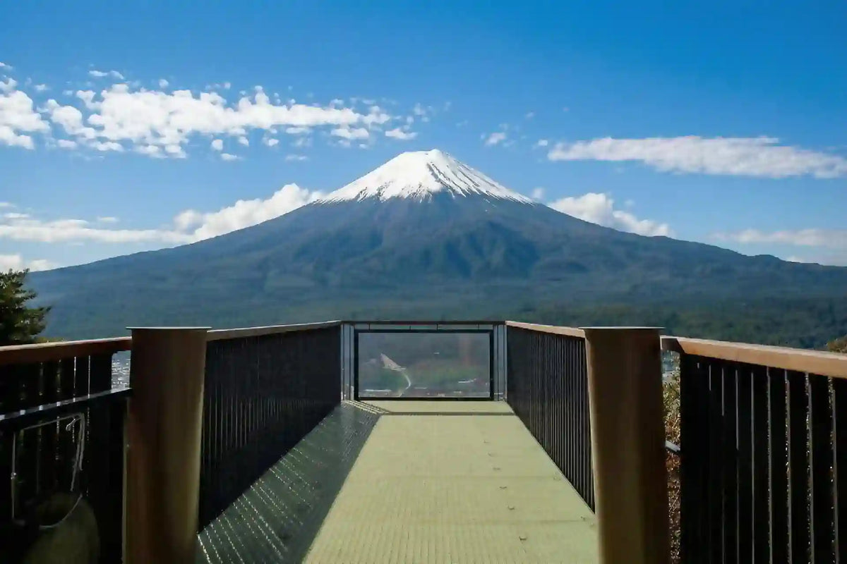 Mount Fuji Panoramic Ropeway, Lake Kawaguchi Tour from Tokyo