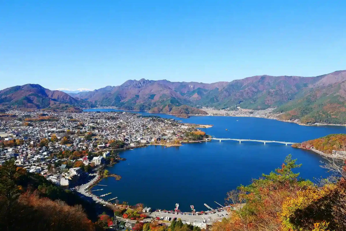 Mount Fuji Panoramic Ropeway, Lake Kawaguchi Tour from Tokyo