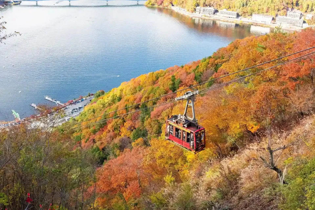 Private Mount Fuji Panoramic Ropeway, Lake Kawaguchi Tour from Tokyo