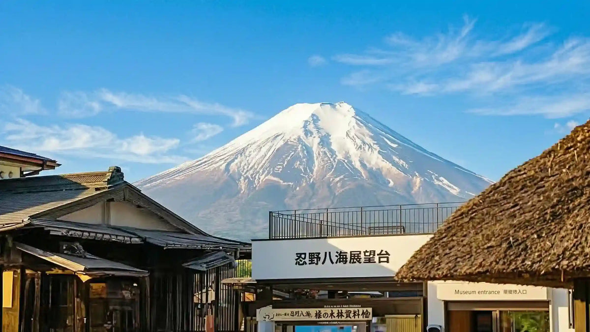 Mount Fuji Panoramic Ropeway, Lake Kawaguchi Tour from Tokyo