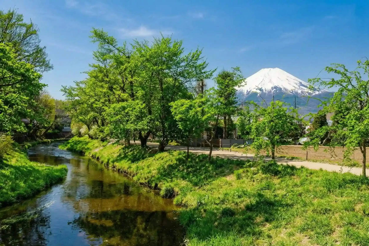 Private Mount Fuji Panoramic Ropeway, Lake Kawaguchi Tour from Tokyo