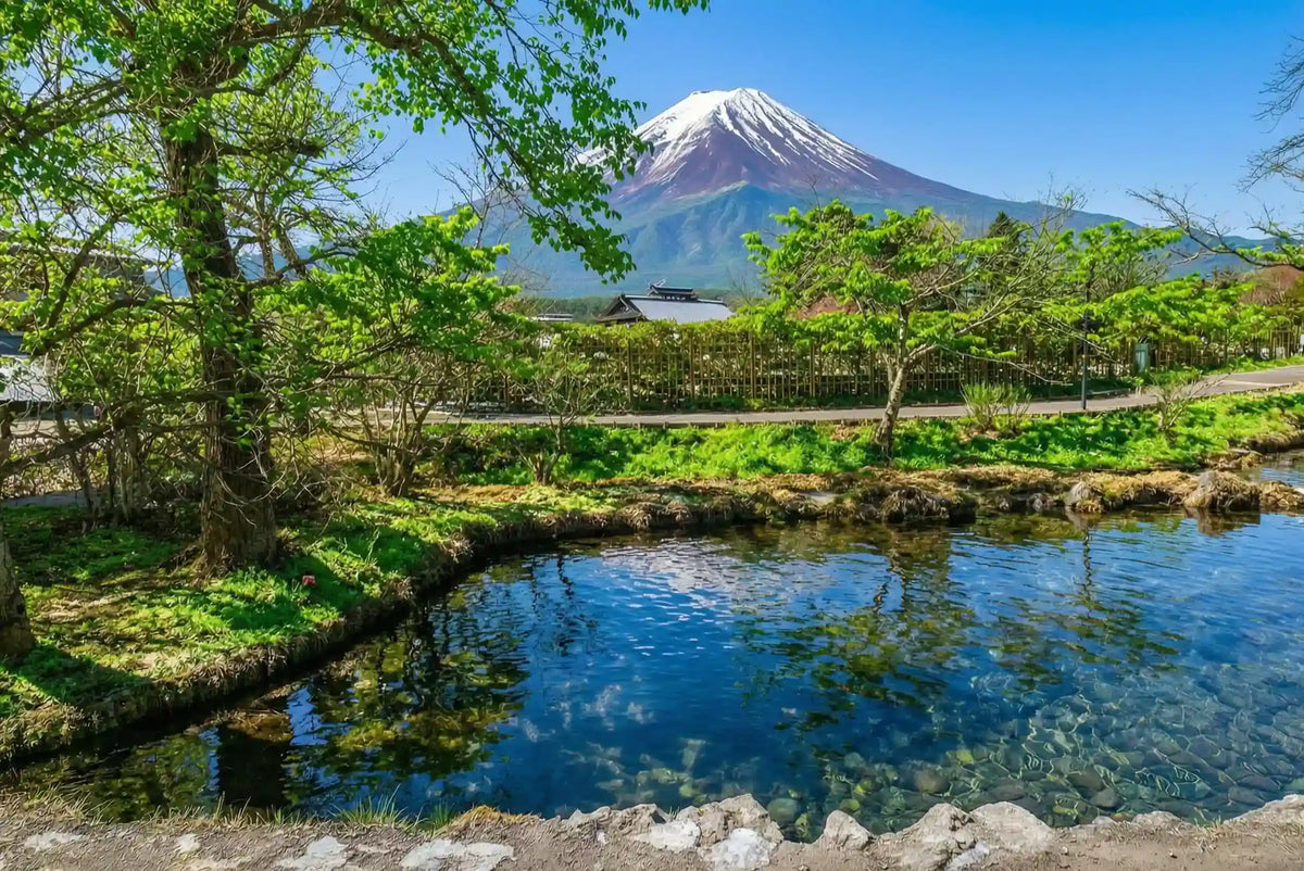 Mount Fuji Panoramic Ropeway, Lake Kawaguchi Tour from Tokyo
