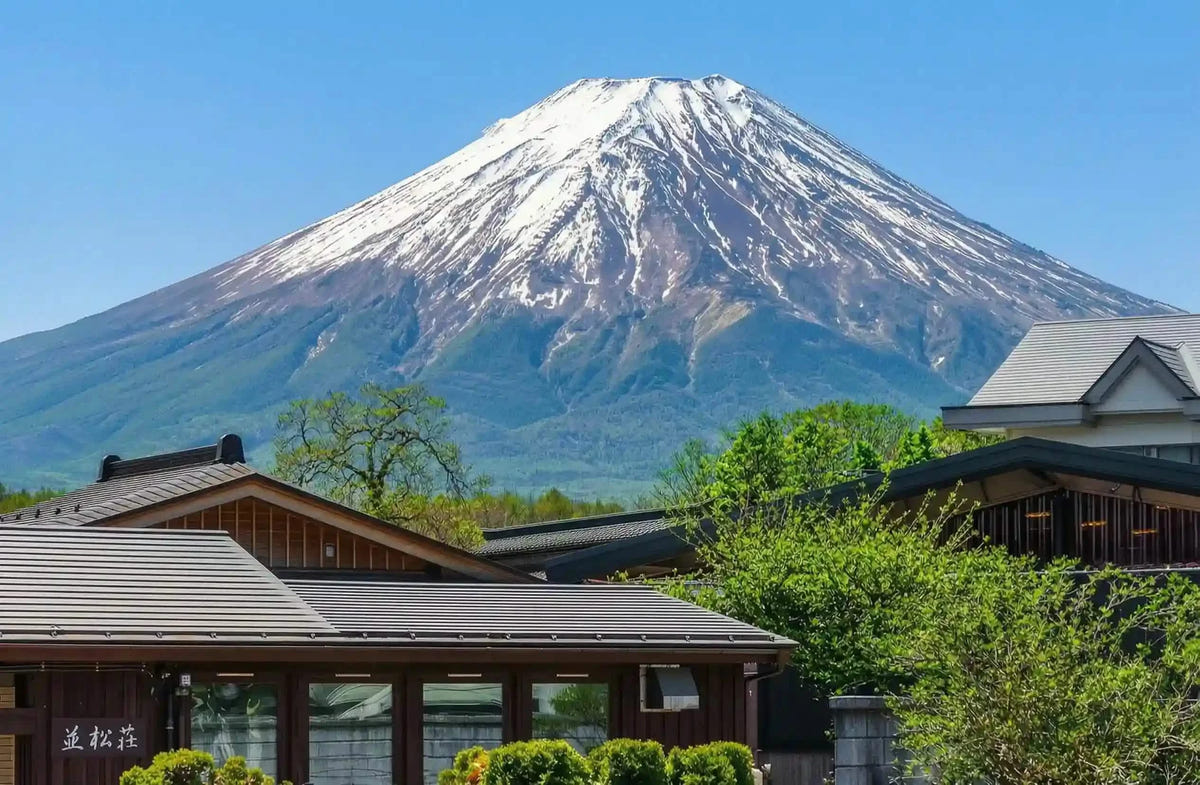 Private Mt Fuji Day Tour: Chureito Pagoda, Oshino Hakkai & Yamanaka from Tokyo
