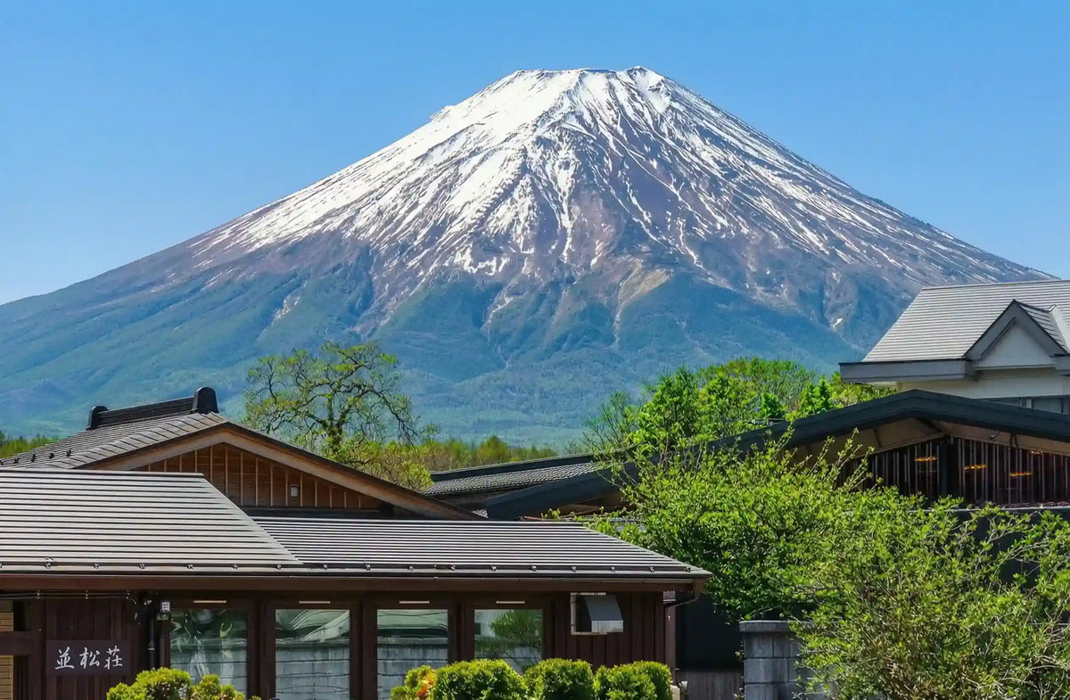 Mount Fuji Panoramic Ropeway, Lake Kawaguchi Tour from Tokyo