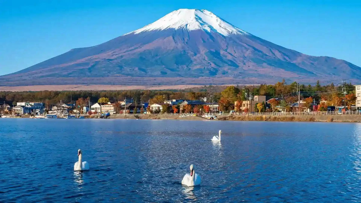 Private Mt Fuji Day Tour: Chureito Pagoda, Oshino Hakkai & Yamanaka from Tokyo