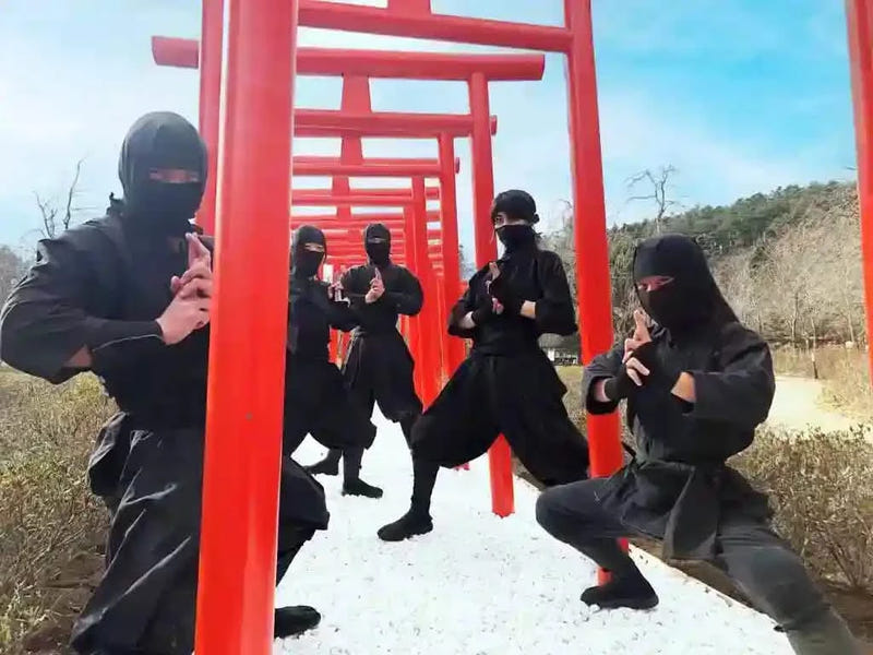 Mt Fuji, Oishi Park, Ninja Village, Oshino Hakkai from Tokyo