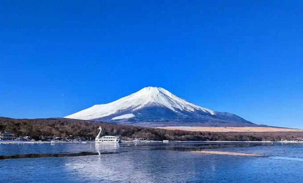 Private Mt Fuji Day Tour: Chureito Pagoda, Oshino Hakkai & Yamanaka from Tokyo