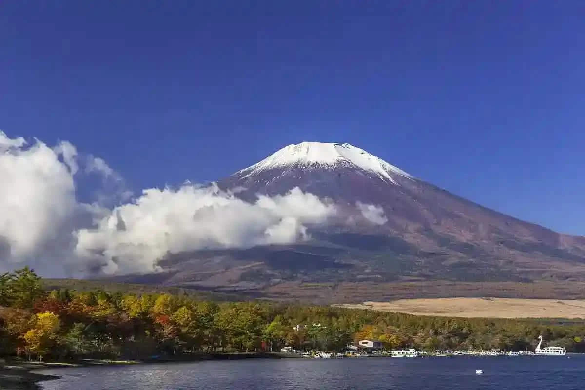 Private Mt Fuji Day Tour: Chureito Pagoda, Oshino Hakkai & Yamanaka from Tokyo