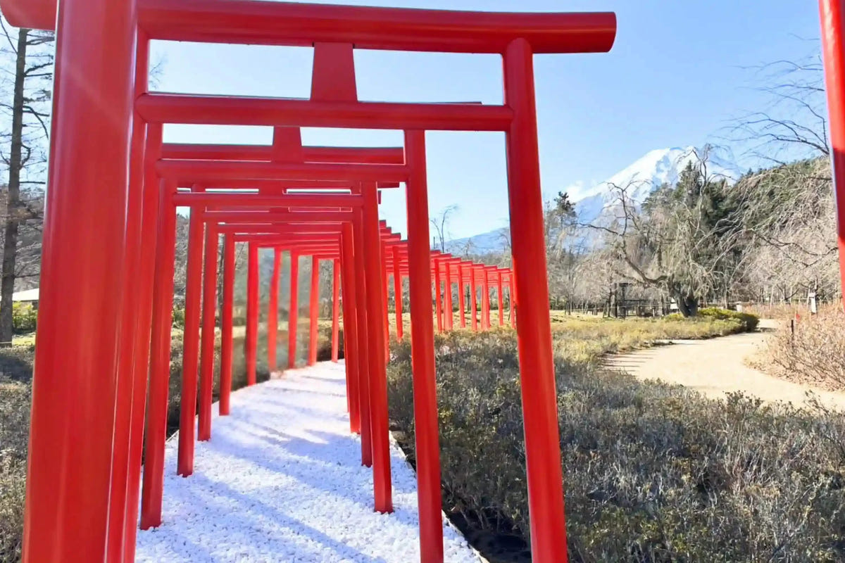 Private Mt Fuji, Oishi Park, Ninja Village, Oshino Hakkai from Tokyo