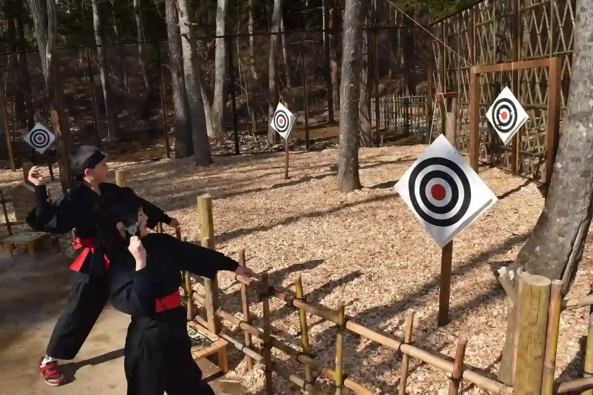 Private Mt Fuji, Oishi Park, Ninja Village, Oshino Hakkai from Tokyo