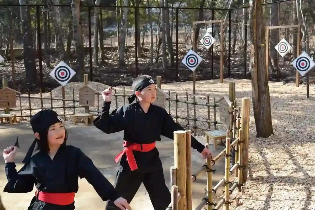 Private Mt Fuji, Oishi Park, Ninja Village, Oshino Hakkai from Tokyo