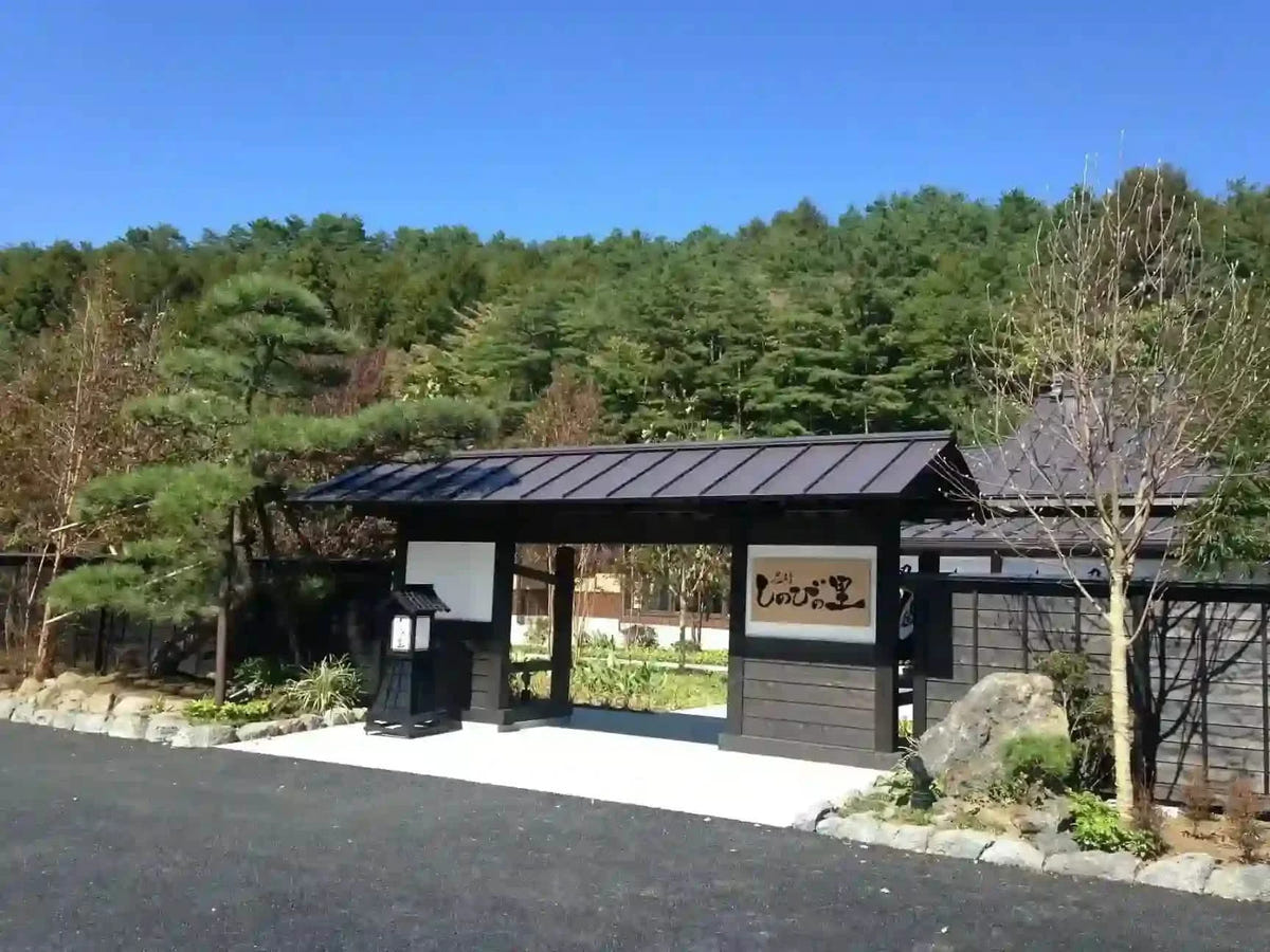 Private Mt Fuji, Oishi Park, Ninja Village, Oshino Hakkai from Tokyo