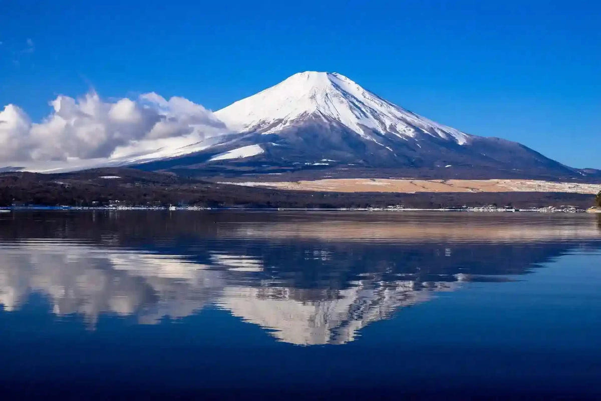 Private Mt Fuji, Oishi Park, Ninja Village, Oshino Hakkai from Tokyo