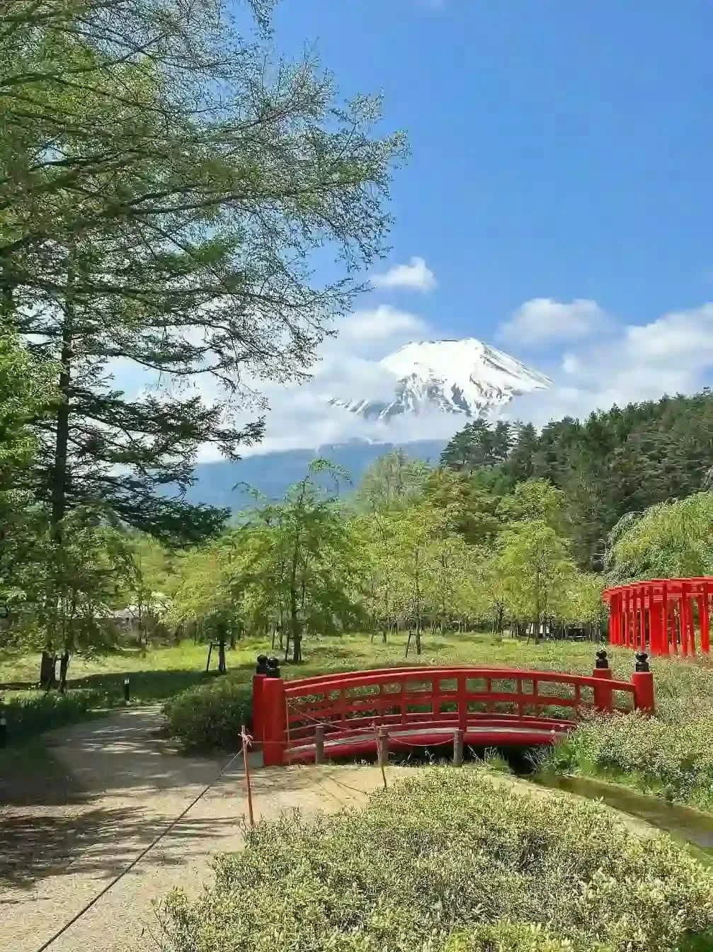 Private Mt Fuji, Oishi Park, Ninja Village, Oshino Hakkai from Tokyo