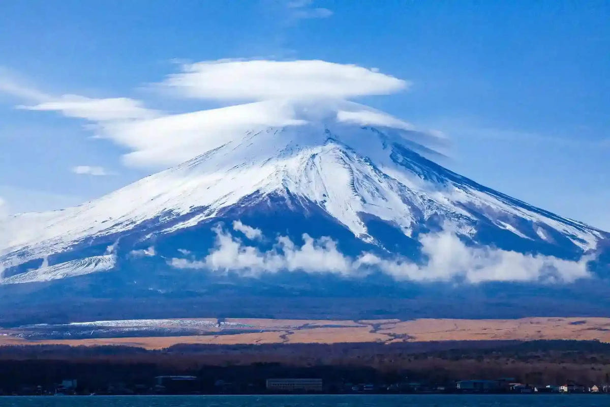 Private Mt Fuji Day Tour: Chureito Pagoda, Oshino Hakkai & Yamanaka from Tokyo