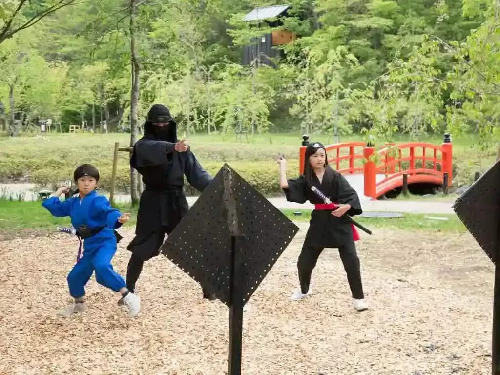 Private Mt Fuji, Oishi Park, Ninja Village, Oshino Hakkai from Tokyo