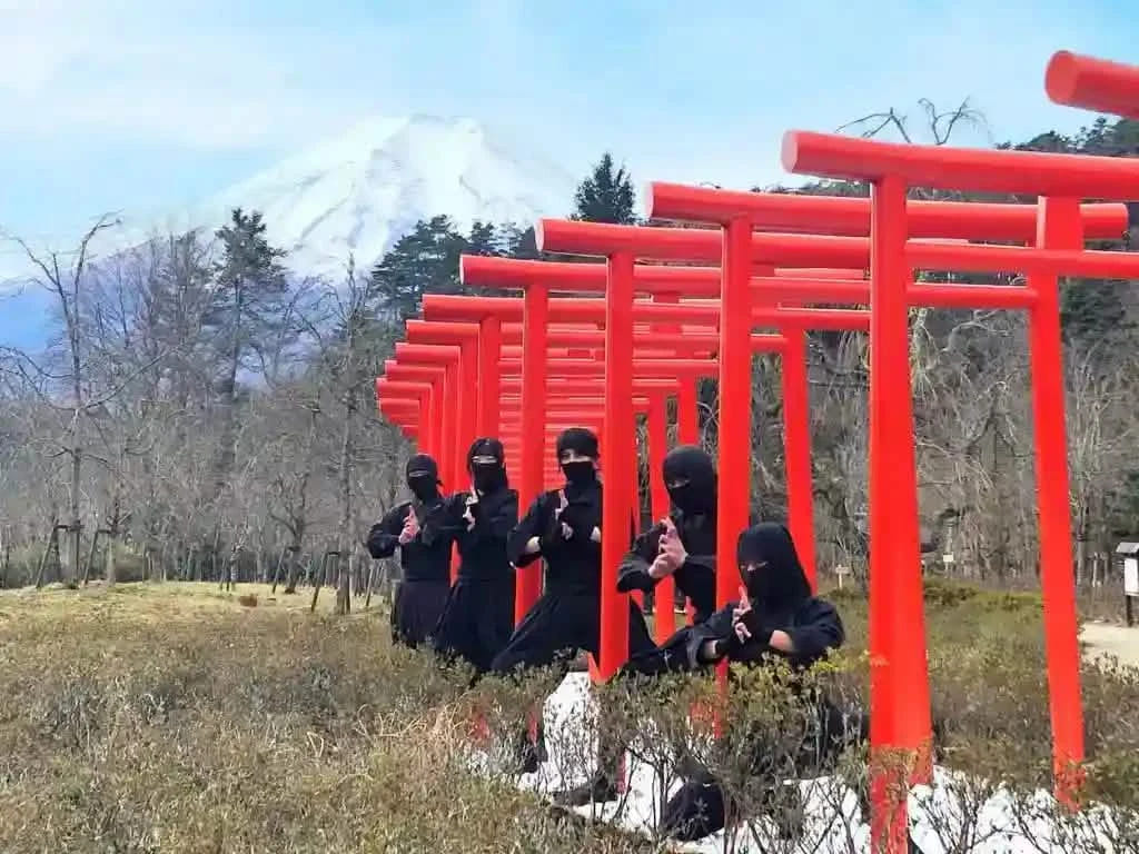 Private Mt Fuji, Oishi Park, Ninja Village, Oshino Hakkai from Tokyo