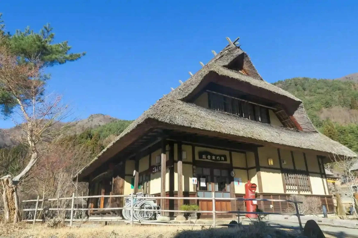 Private Mt Fuji Shibazakura, Oishi Park, Arakurayama Day Tour from Tokyo
