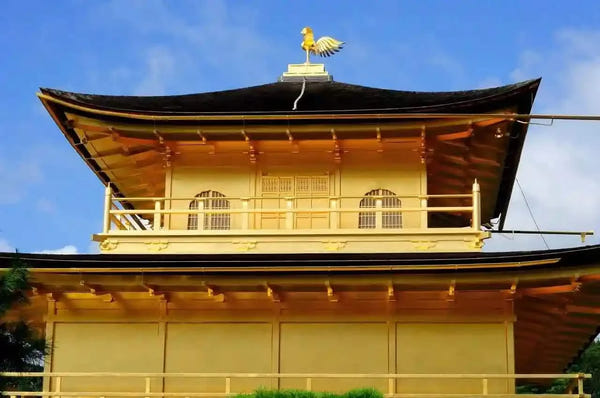 Nijo Castle, Arashiyama, Kinkaku-ji & Fushimi Inari from Kyoto/Osaka