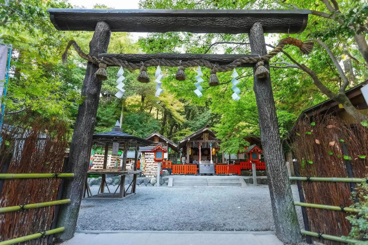 Nijo Castle, Arashiyama, Kinkaku-ji & Fushimi Inari from Kyoto/Osaka