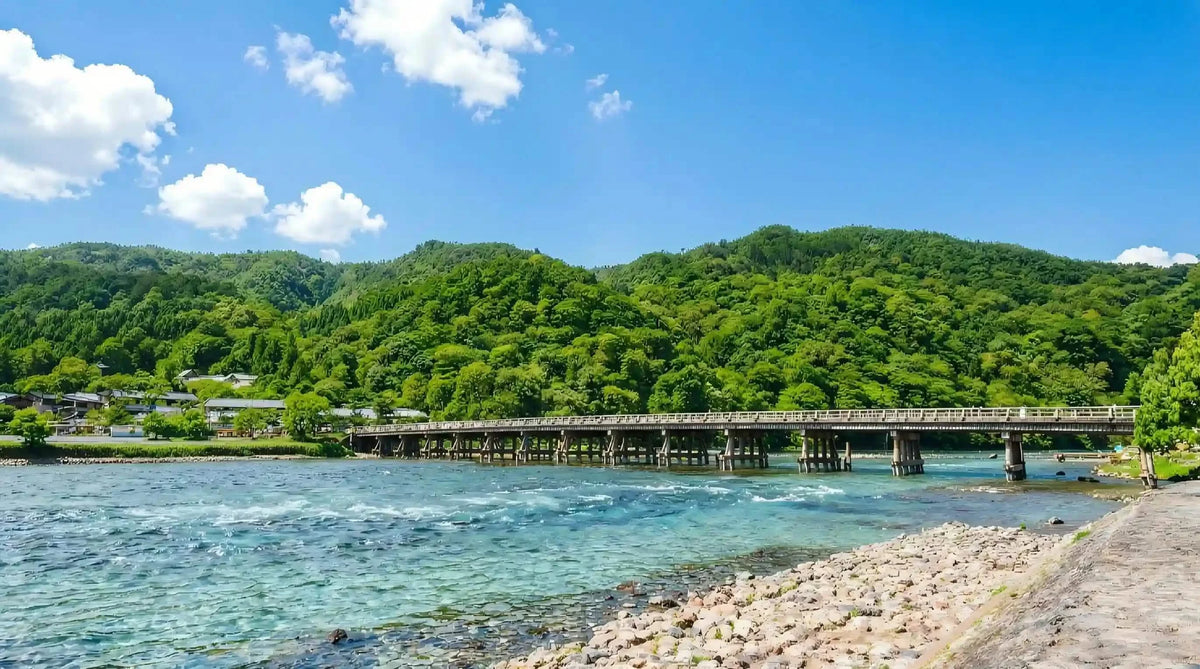Arashiyama Sagano Train, Nara Park, Fushimi Inari Taisha Tour from  Osaka