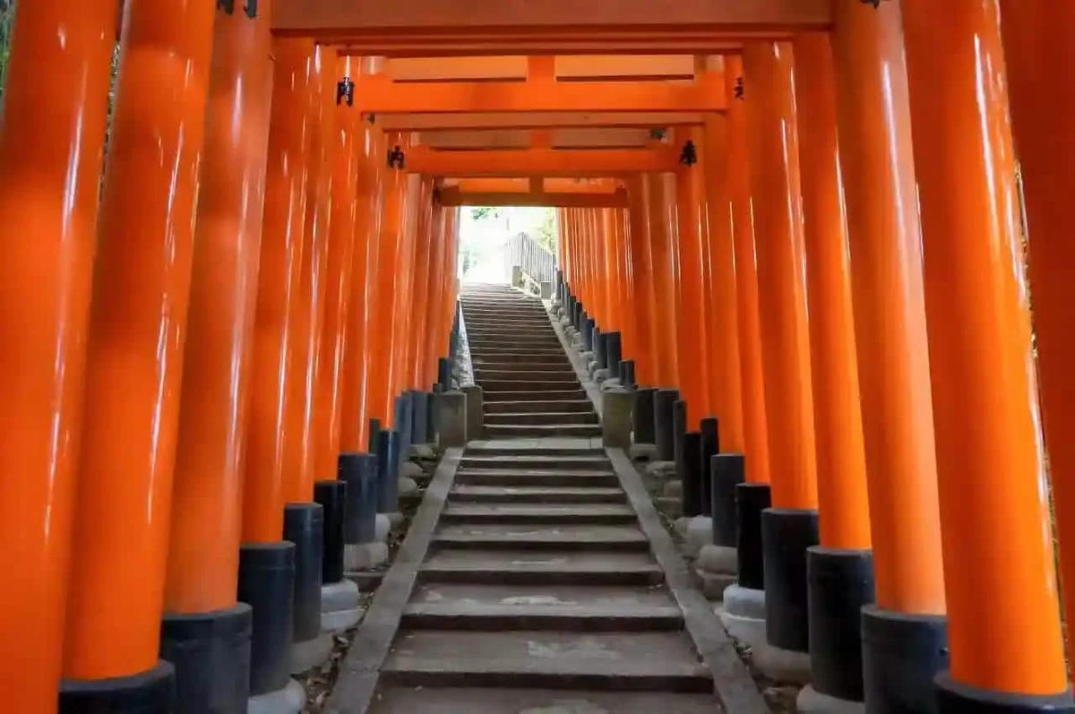 Nijo Castle, Arashiyama, Kinkaku-ji & Fushimi Inari from Kyoto/Osaka