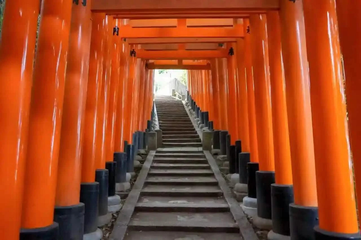 Nara, Uji, Todaiji Temple & Fushimi Inari Taisha from Kyoto/Osaka