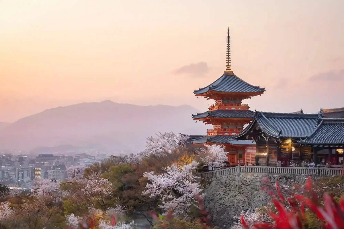 Nijo Castle, Arashiyama, Kinkaku-ji & Fushimi Inari from Kyoto/Osaka
