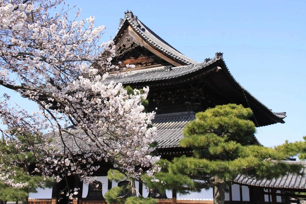 Nijo Castle, Arashiyama, Kinkaku-ji & Fushimi Inari from Kyoto/Osaka